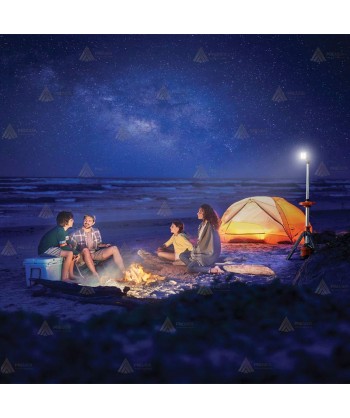 Torre telescópica portátil de iluminación led (12.000 lúmenes)