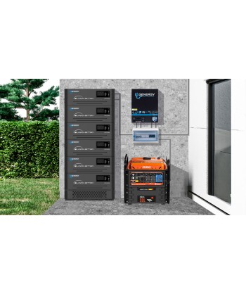 Inversor solar Genergy IFR4000  24 V  de 4000W