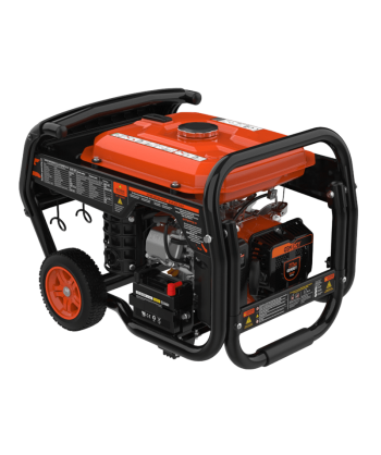 Generador eléctrico profesional BELAGUA a gasolina 4T (4.000W)