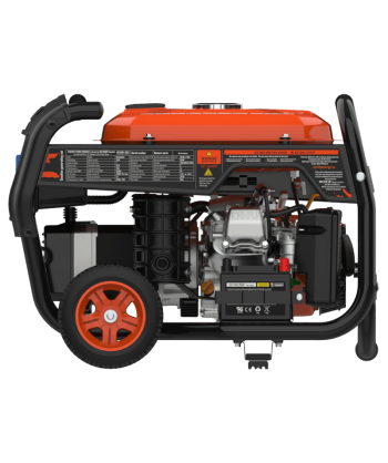 Generador eléctrico profesional BELAGUA a gasolina 4T (4.000W)