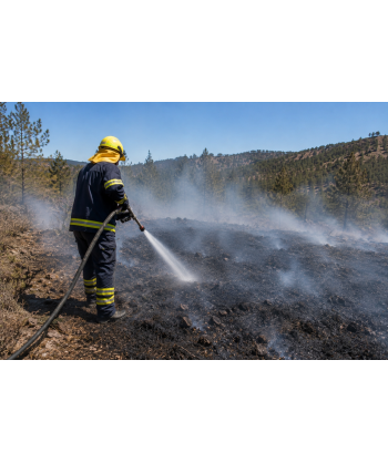 Remolque contra incendios con motobomba 71 L/min y 40 Bar. Motor HONDA