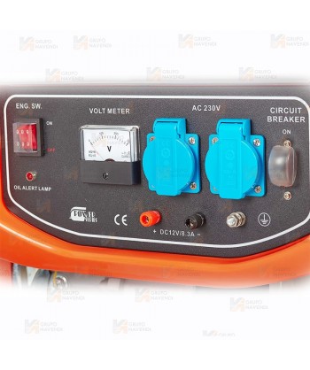 Generador eléctrico con motor a gasolina de 4 tiempos y 8.500W de potencia