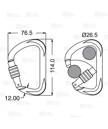Mosquetón asimétrico de acero Screw Lock  (35 kN)