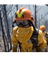 Gafas de protección ventiladas para casco forestal vft1