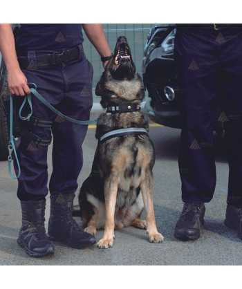 Botas tácticas de caña alta con Goretex para policía