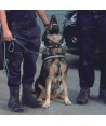 Botas tácticas de caña alta con Goretex para policía