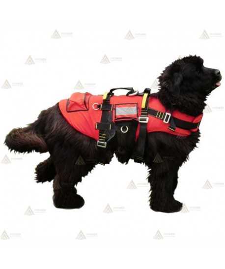 Arnés para perros de rescate acuático