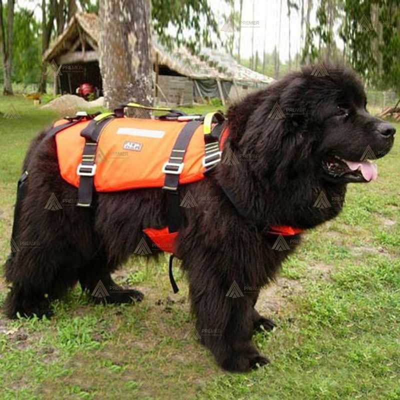 Arnés para perros de rescate acuático