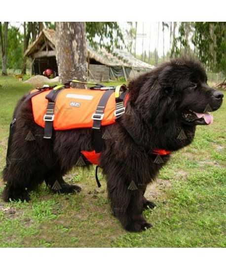 Arnés para perros de rescate acuático