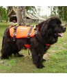 Arnés para perros de rescate acuático