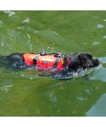 Arnés para perros de rescate acuático