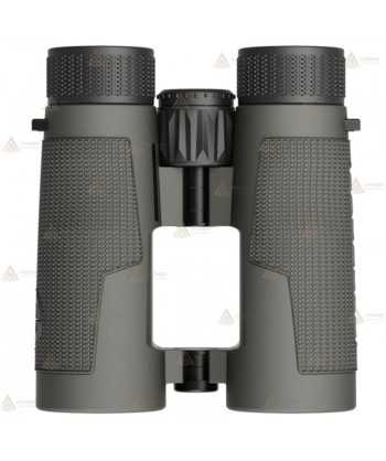 Prismático LEUPOLD BX-4 Pro Guide HD - 10x42
