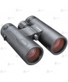 Prismático BUSHNELL ENGAGE - 8x42