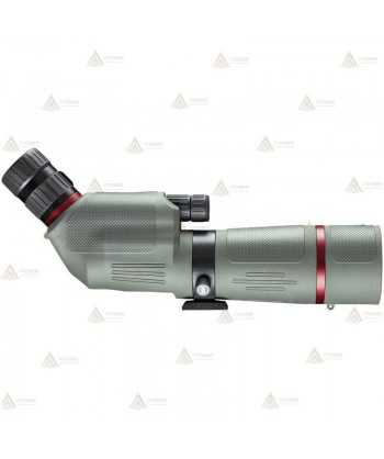 Telescopio BUSHNELL NITRO 20-60x65 - 45º