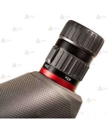 Telescopio BUSHNELL NITRO 20-60x65 - 45º