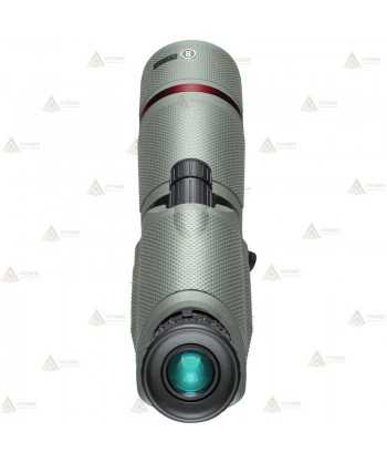 Telescopio BUSHNELL NITRO 20-60x65 - 45º
