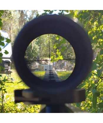Visor BUSHNELL AR 3-12x40 SFP Drop Zone 223 para tiro de precisión y caza
