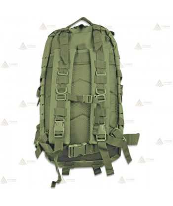 Mochila táctica Verde con sistema Molle corte Laser   (30 litros)
