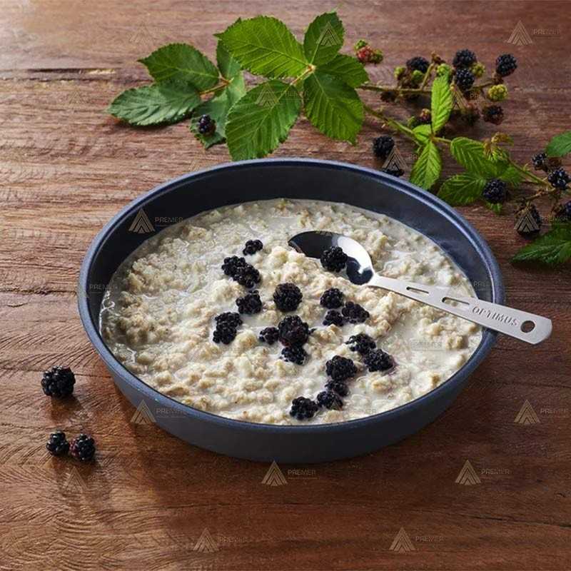 Gachas de avena de Trek'n Eat