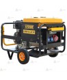 Grupo electrógeno trifásico diésel (400V & /230V 10.000W)