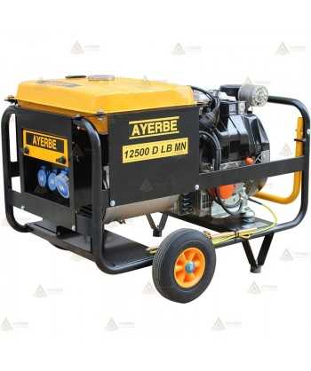 Grupo electrógeno monofásico con motor diésel (12,5 KVA / 10.000 W)