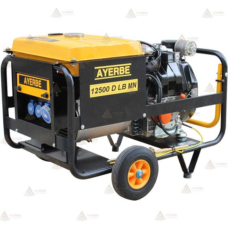 Grupo electrógeno monofásico con motor diésel (12,5 KVA / 10.000 W)