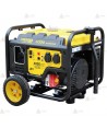 Grupo electrógeno monofásico a gasolina (4.000W)