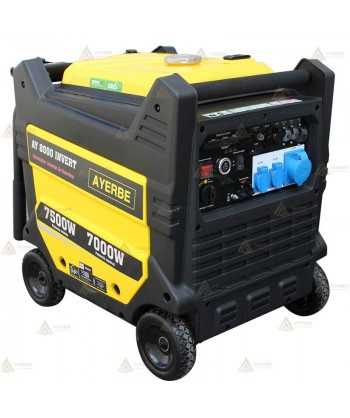 Grupo electrógeno monofásico e inverter a gasolina (7.500W)