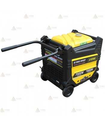 Grupo electrógeno monofásico e inverter a gasolina (7.500W)