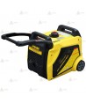 Grupo electrógeno monofásico e inverter a gasolina (4.000W)