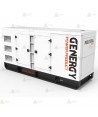Grupo electrógeno diésel trifásico (204 KVA / 163 KW) Insonorizado
