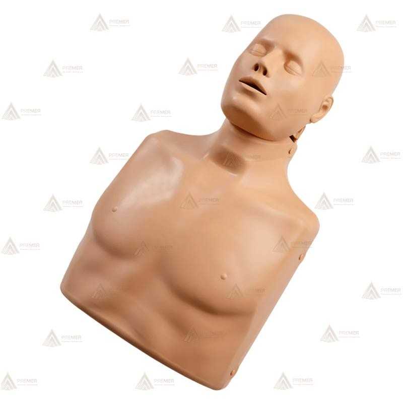 Torso para formación RCP Advance adulto