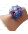 Almohadilla simil piel para iTClamp