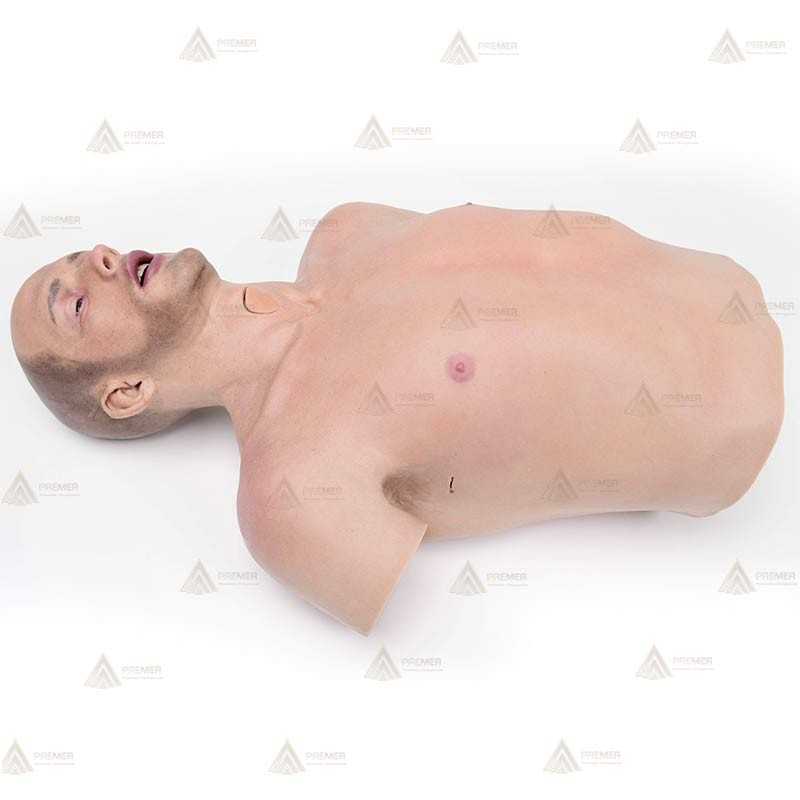 Torso masculino adulto de politraumatismo EMS-T
