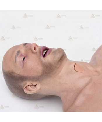 Torso masculino adulto de politraumatismo EMS-T
