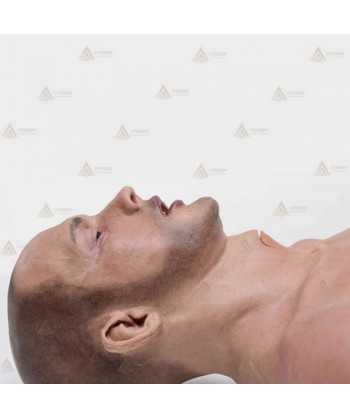 Torso masculino adulto de politraumatismo EMS-T