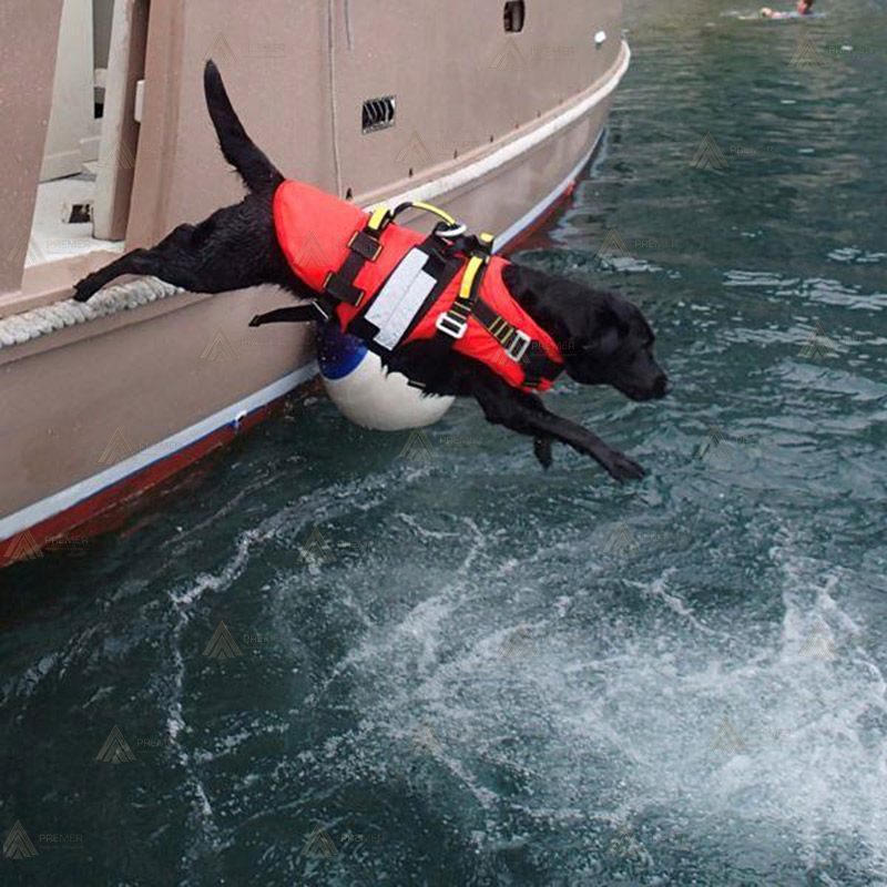 Arnés para perros de rescate acuático