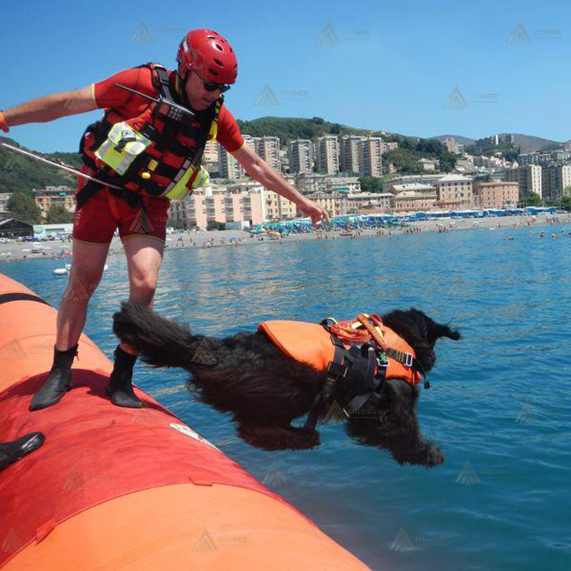 Arnés para perros de rescate acuático