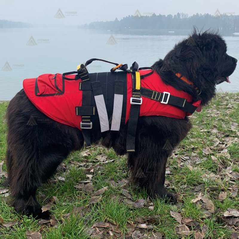 Arnés para perros de rescate acuático